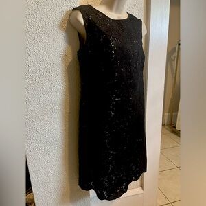 Loft petite 4 eyelet dress nwt